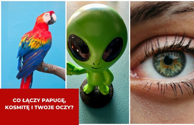 CO ŁĄCZY PAPUGĘ, KOSMITĘ I TWOJE OCZY? Trzy zdjęcia: kolorowa papuga, zabawkowy kosmita i zbliżenie na ludzkie oko – pytanie, co je łączy.