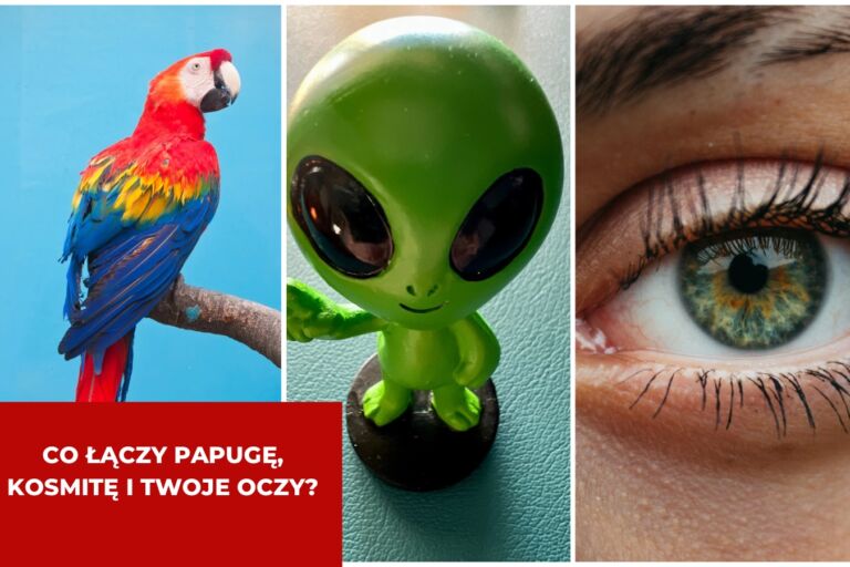 Trzy zdjęcia: kolorowa papuga, zabawkowy kosmita i zbliżenie na ludzkie oko – pytanie, co je łączy.